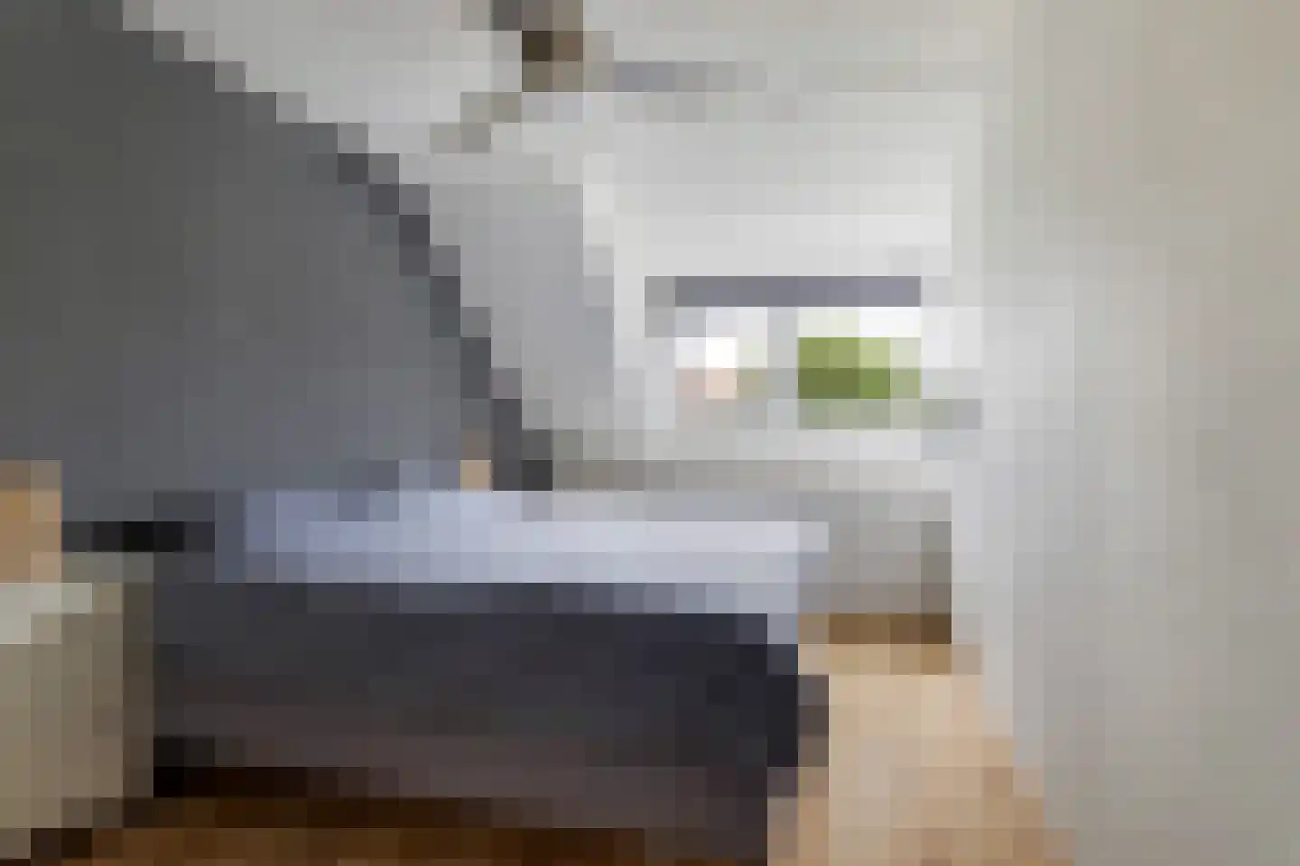 Vuurvlindertje erf 16 Capelle aan den IJssel thumbnail 15