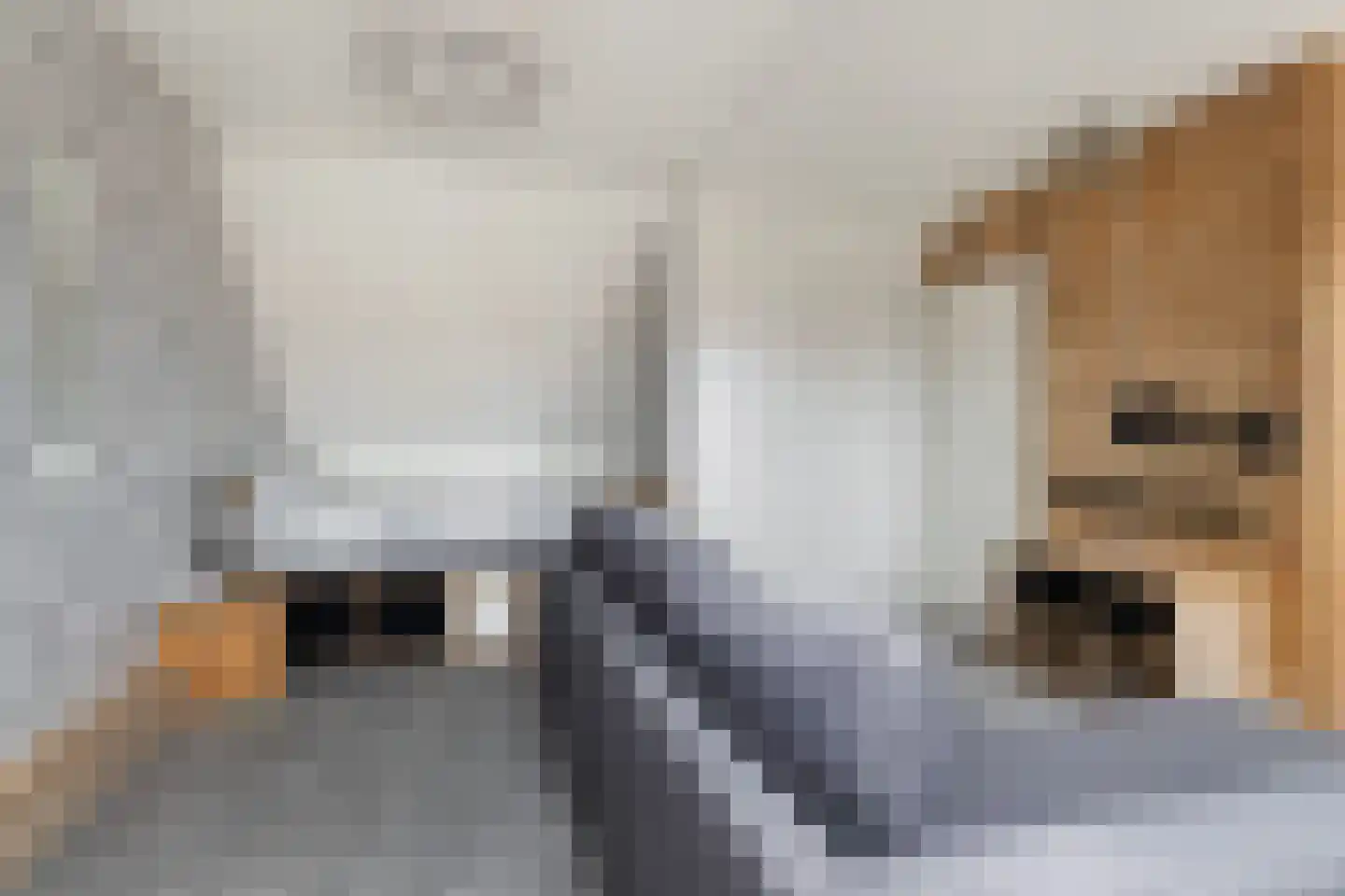 Vuurvlindertje erf 16 Capelle aan den IJssel thumbnail 26
