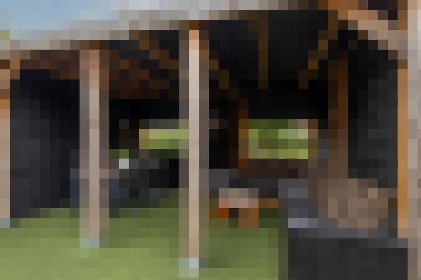 Vuurvlindertje erf 16 Capelle aan den IJssel thumbnail 29