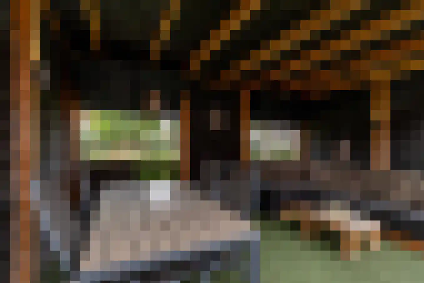 Vuurvlindertje erf 16 Capelle aan den IJssel thumbnail 31