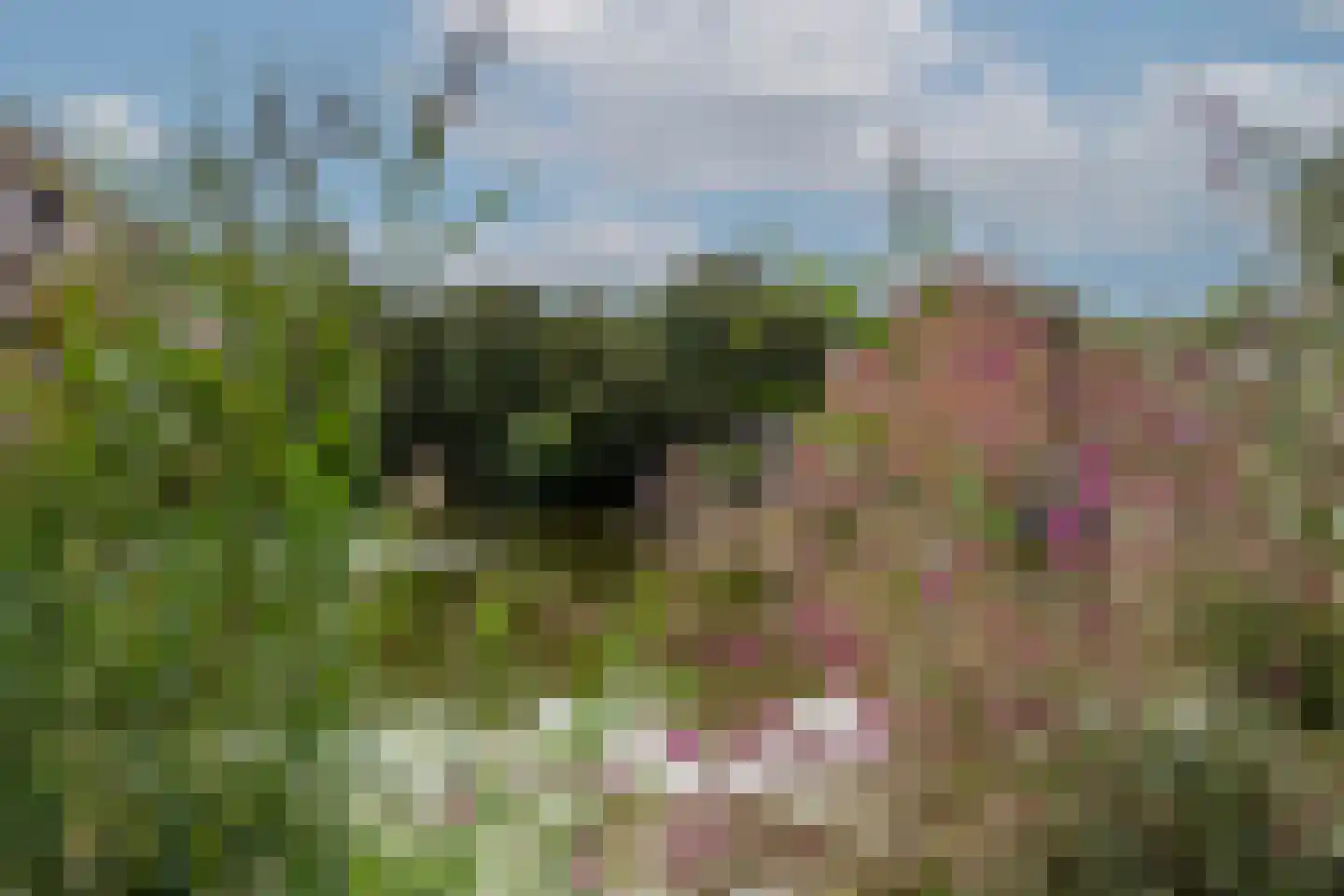 Vuurvlindertje erf 16 Capelle aan den IJssel thumbnail 35
