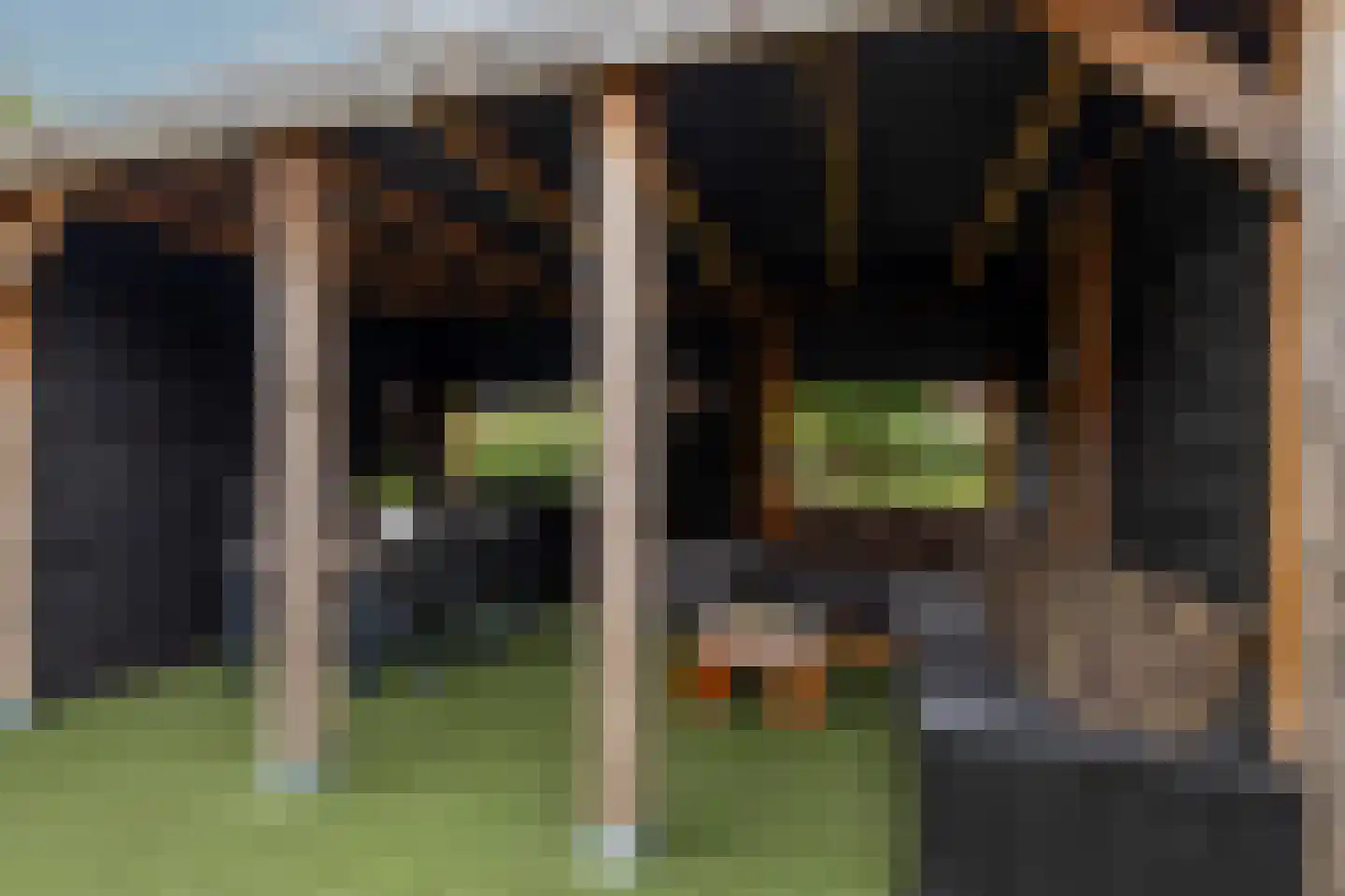 Vuurvlindertje erf 16 Capelle aan den IJssel thumbnail 4