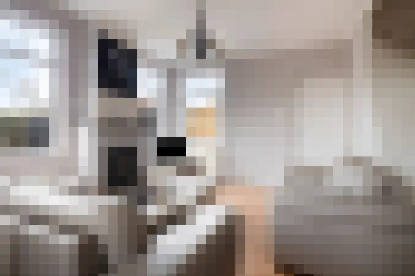 Vylainlaan 40 Heikant thumbnail 10