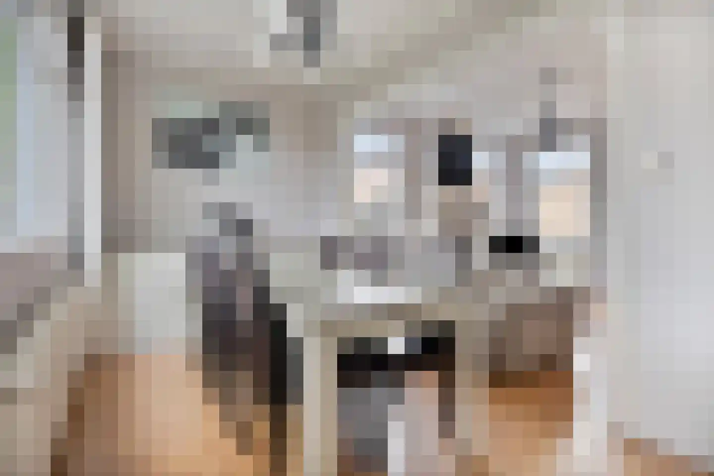 Vylainlaan 40 Heikant thumbnail 12