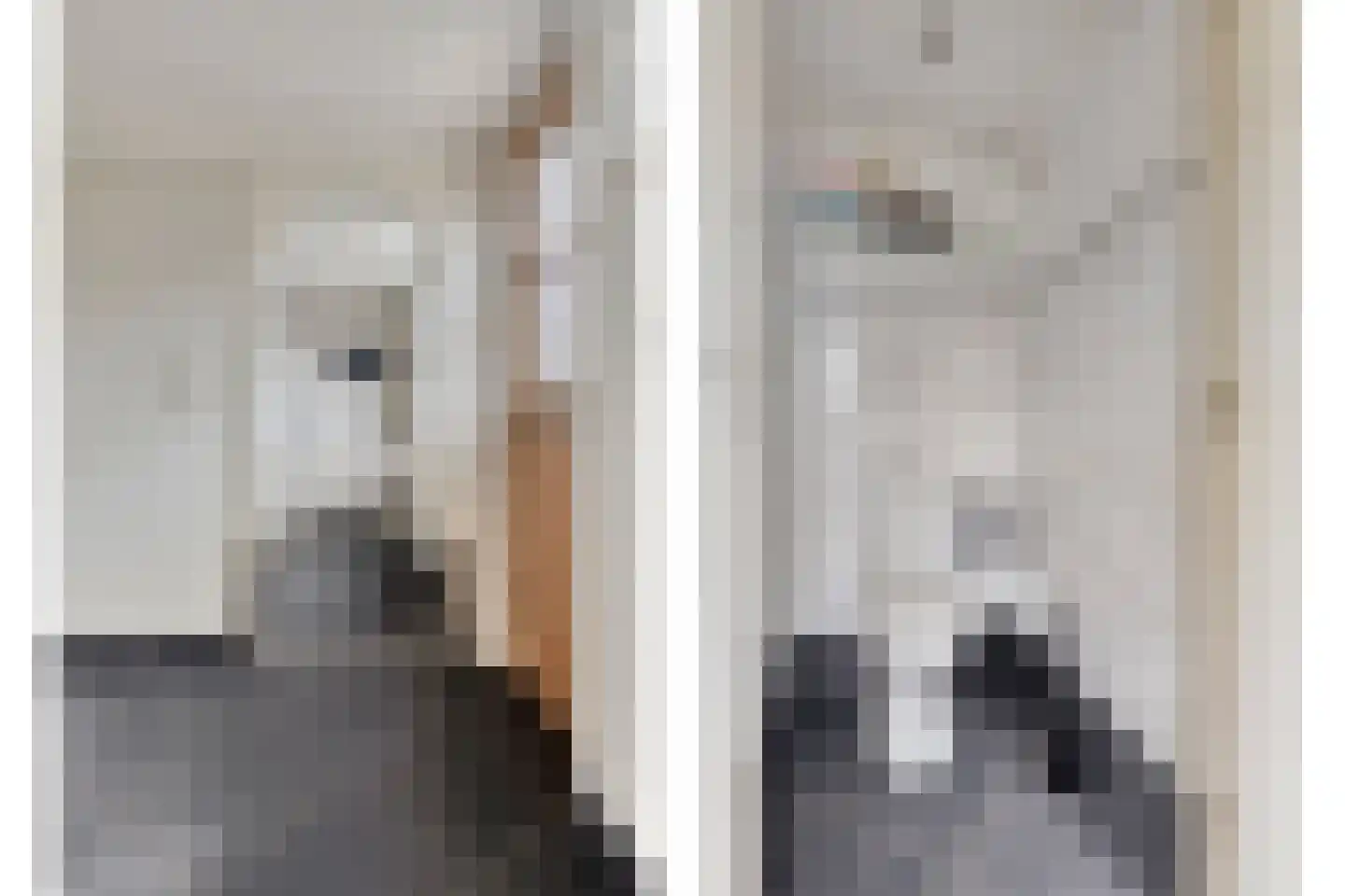 Vylainlaan 40 Heikant foto 3