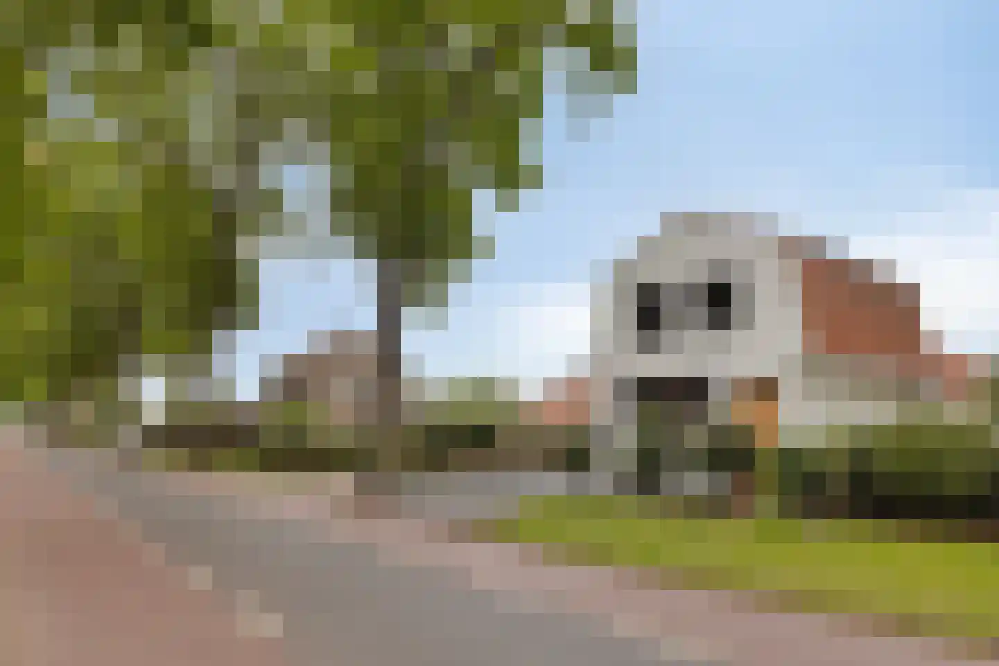 Vylainlaan 40 Heikant thumbnail 33
