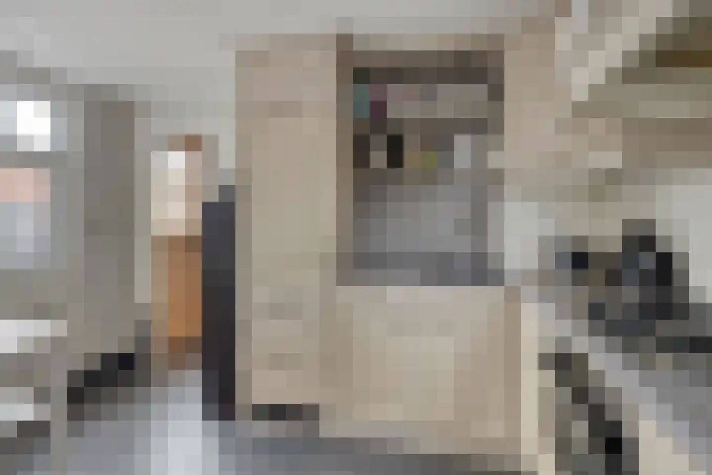 Vylainlaan 40 Heikant thumbnail 4
