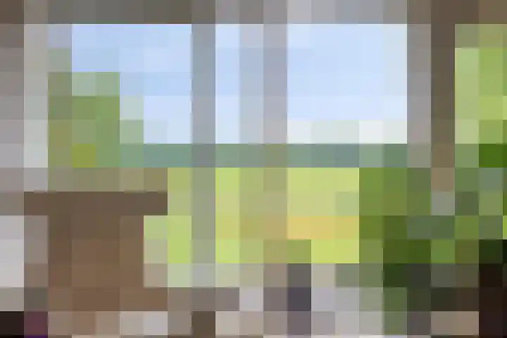 W A Nijenhuisweg 45 Katlijk thumbnail 11