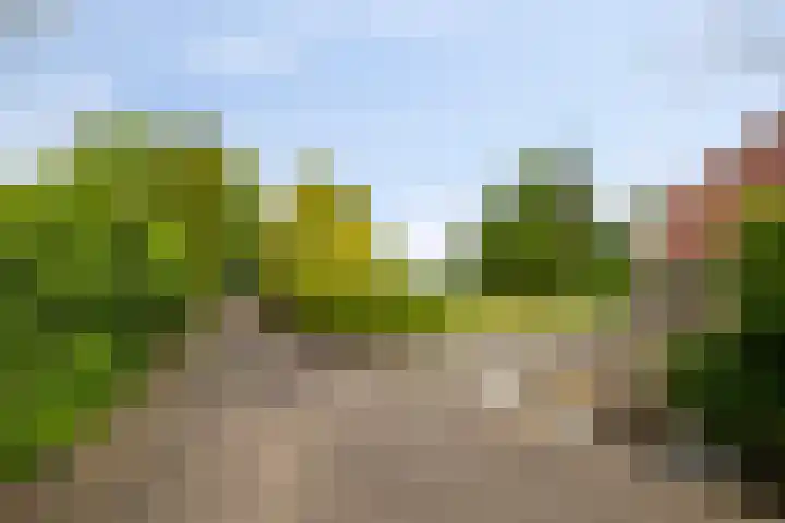 W A Nijenhuisweg 45 Katlijk thumbnail 39