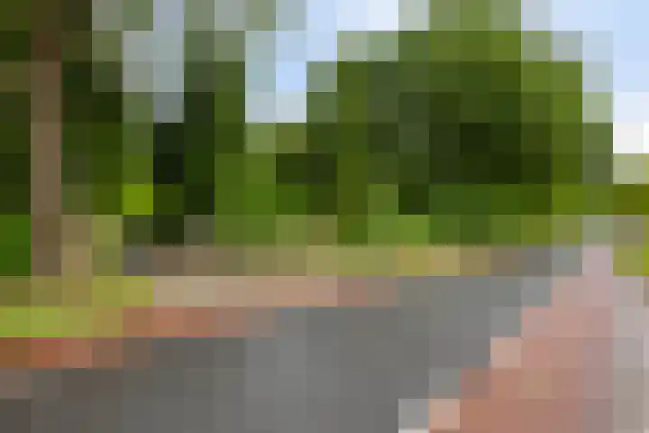 W A Nijenhuisweg 45 Katlijk thumbnail 4