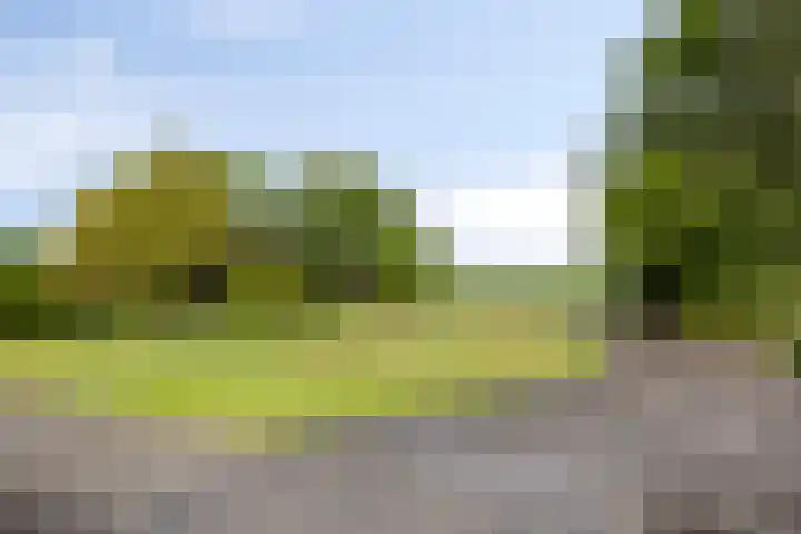 W A Nijenhuisweg 45 Katlijk thumbnail 40