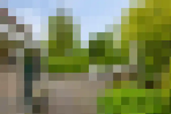 W A Nijenhuisweg 45 Katlijk thumbnail 41