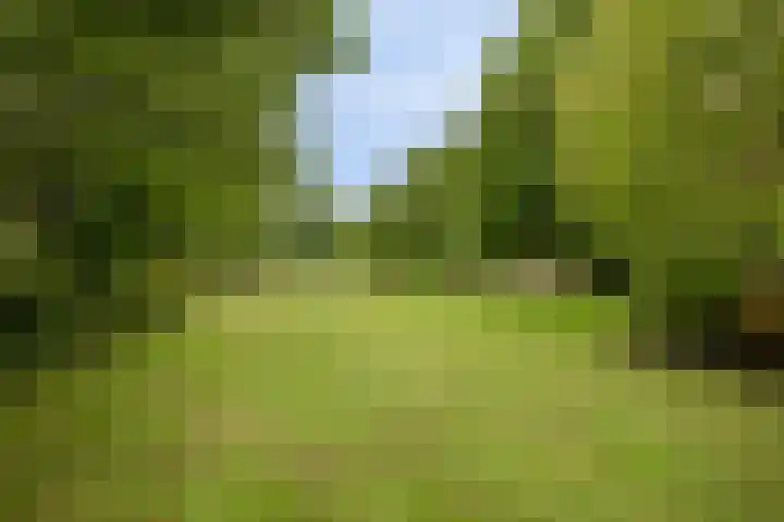 W A Nijenhuisweg 45 Katlijk thumbnail 42