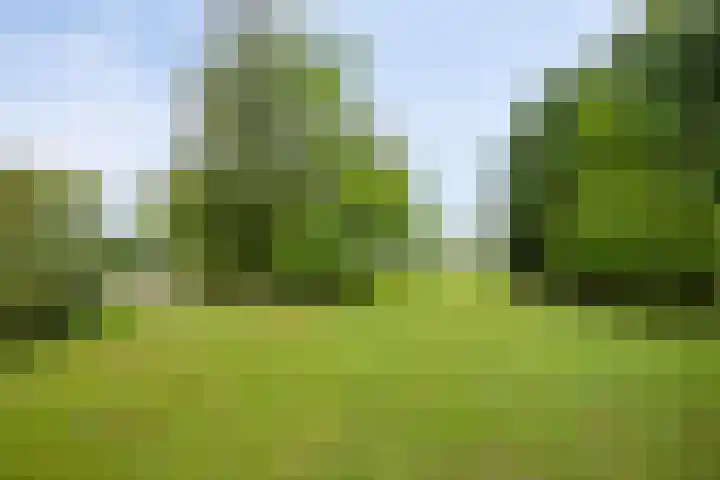 W A Nijenhuisweg 45 Katlijk thumbnail 43