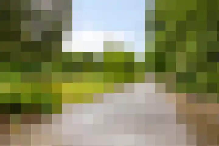 W A Nijenhuisweg 45 Katlijk thumbnail 44