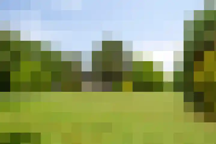 W A Nijenhuisweg 45 Katlijk thumbnail 45