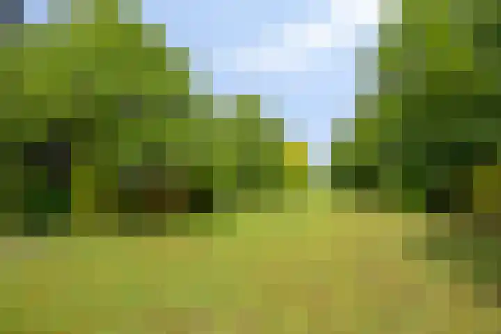 W A Nijenhuisweg 45 Katlijk thumbnail 46