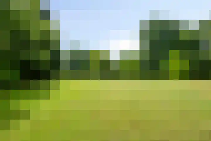 W A Nijenhuisweg 45 Katlijk thumbnail 47