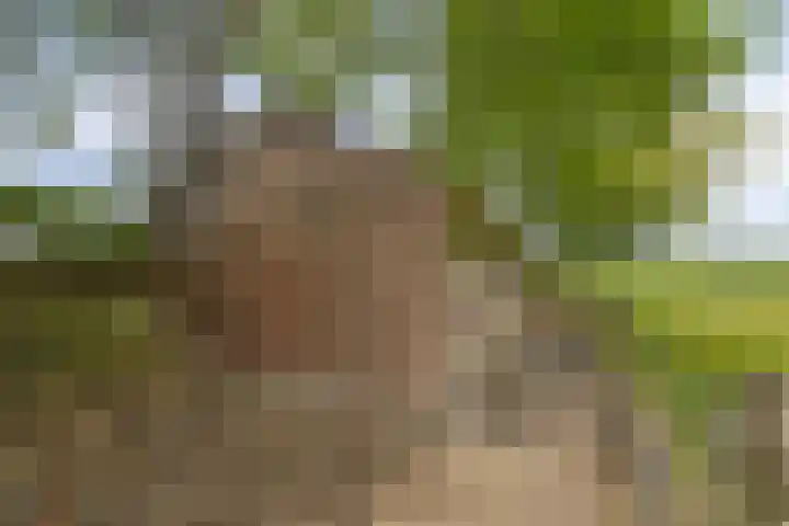 W A Nijenhuisweg 45 Katlijk thumbnail 48