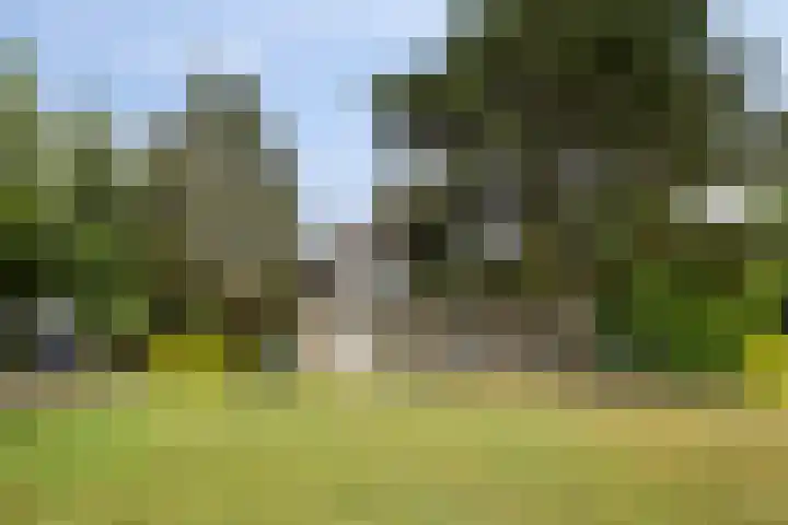 W A Nijenhuisweg 45 Katlijk thumbnail 49