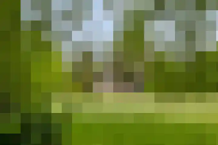 W A Nijenhuisweg 45 Katlijk thumbnail 5