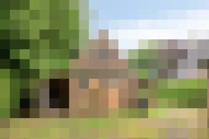 W A Nijenhuisweg 55 Katlijk thumbnail 16