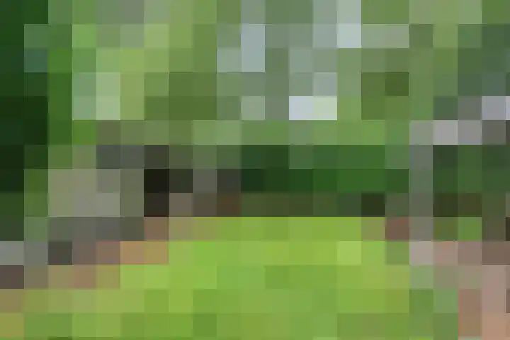 W A Nijenhuisweg 55 Katlijk thumbnail 17
