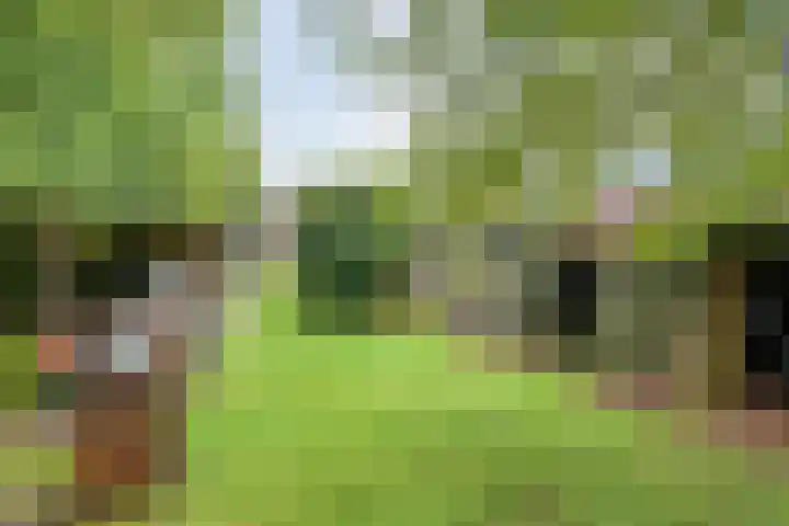 W A Nijenhuisweg 55 Katlijk thumbnail 18
