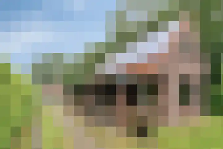 W A Nijenhuisweg 55 Katlijk thumbnail 23