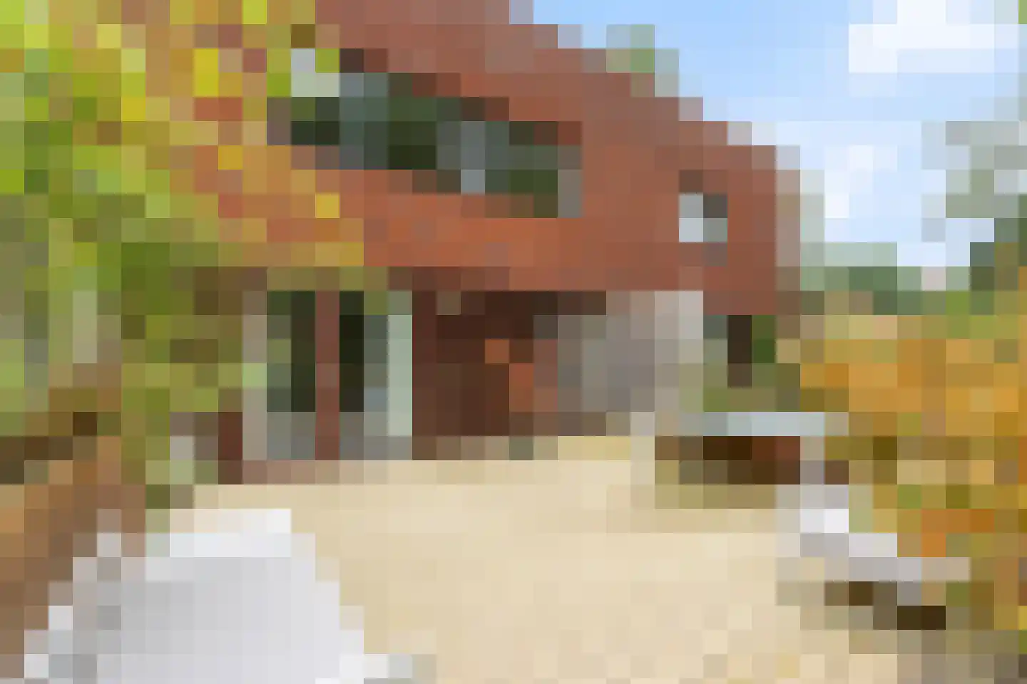 W.A. Scholtenlaan 129 Doorwerth thumbnail 30