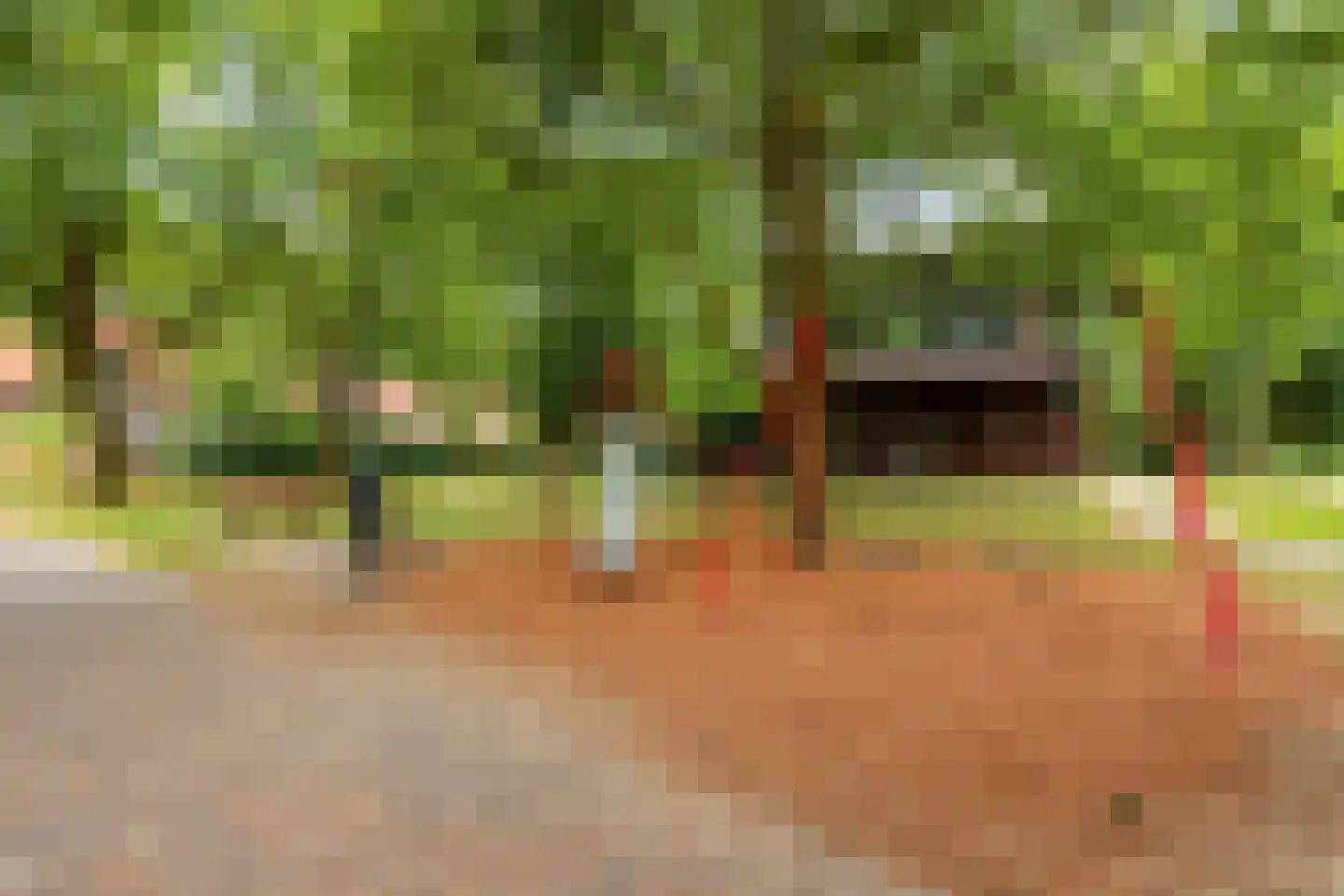 W.A. Scholtenlaan 129 Doorwerth thumbnail 40