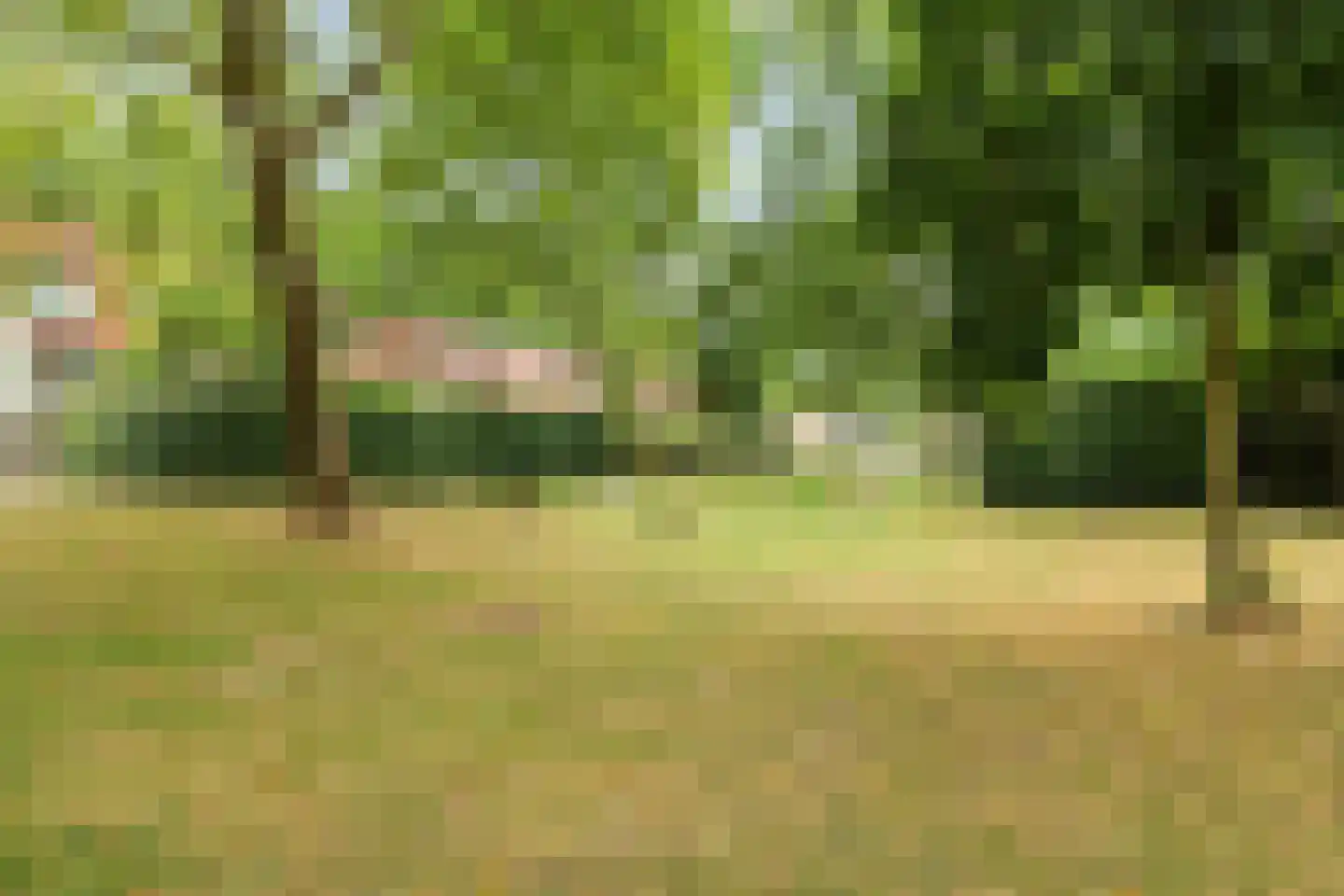 W.A. Scholtenlaan 129 Doorwerth thumbnail 42