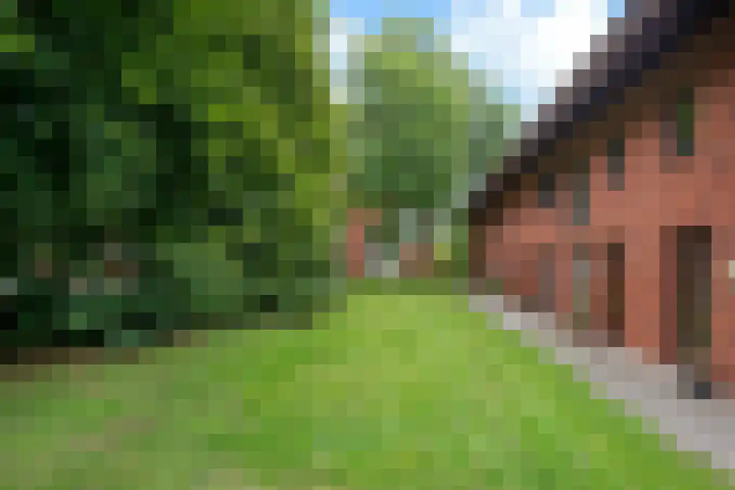 W.A. Scholtenlaan 151 Doorwerth thumbnail 51
