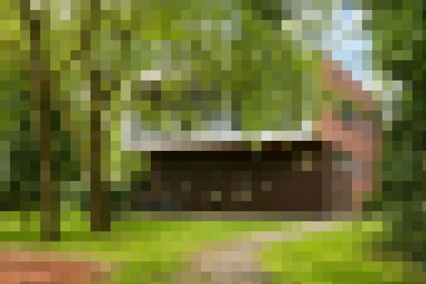 W.A. Scholtenlaan 163 Doorwerth thumbnail 44