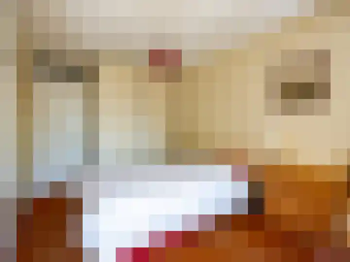 W.A. Scholtenlaan 83 Doorwerth thumbnail 17