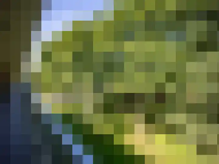 W.A. Scholtenlaan 83 Doorwerth thumbnail 23