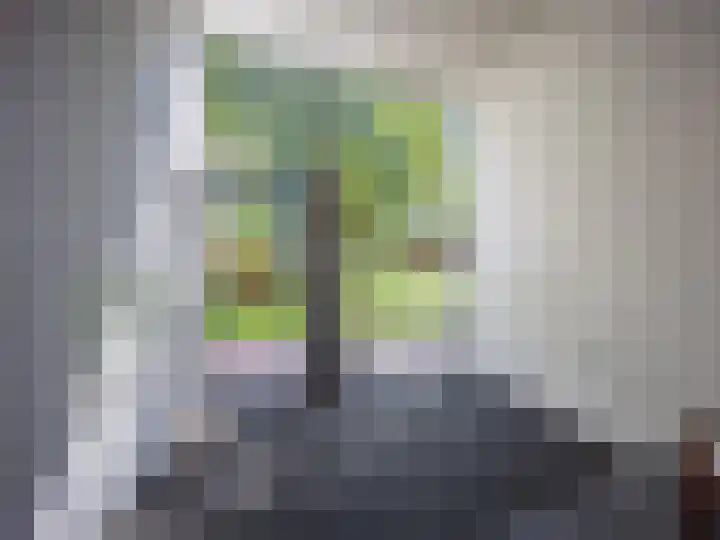 W.A. Scholtenlaan 83 Doorwerth thumbnail 27