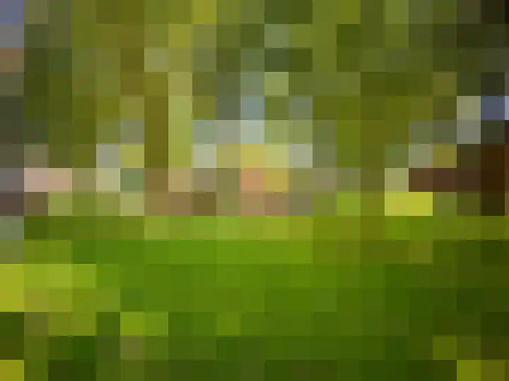W.A. Scholtenlaan 83 Doorwerth thumbnail 29