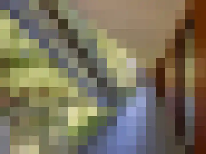 W.A. Scholtenlaan 83 Doorwerth thumbnail 5