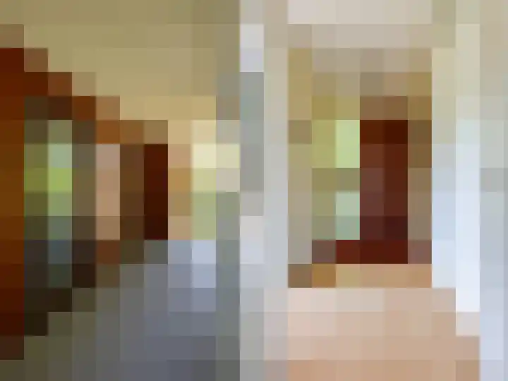 W.A. Scholtenlaan 83 Doorwerth thumbnail 6