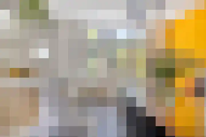 W.A. Scholtenstraat 3 Groningen thumbnail 14