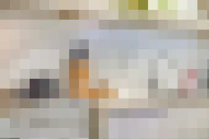 W.A. Scholtenstraat 3 Groningen thumbnail 17