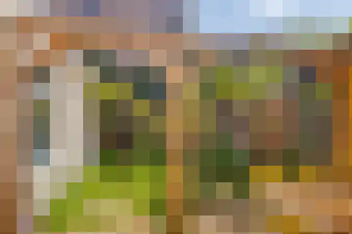 W.A. Scholtenstraat 3 Groningen thumbnail 29