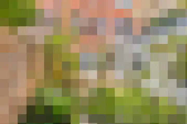 W.A. Scholtenstraat 3 Groningen thumbnail 31