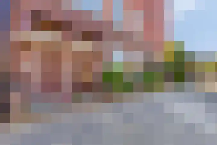W.A. Scholtenstraat 3 Groningen thumbnail 5