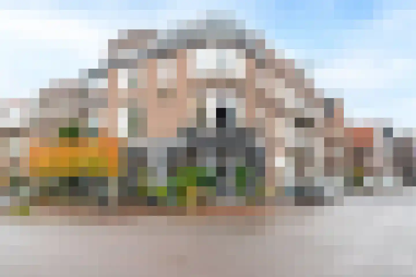 W.A. Scholtenstraat 39 a Groningen thumbnail 10