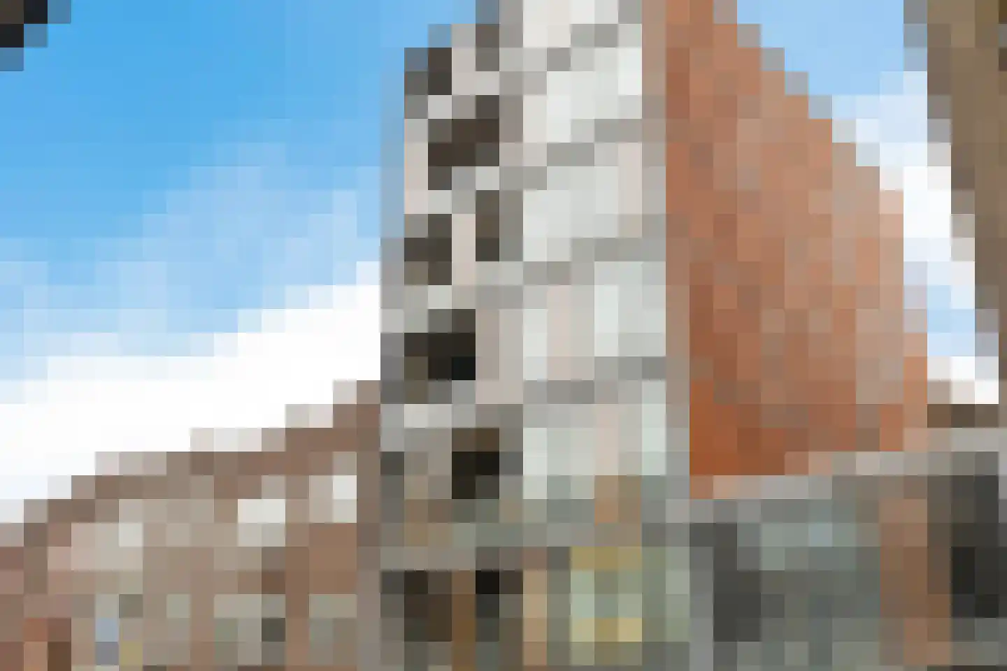 W.A. Scholtenstraat 8 11 in Groningen
