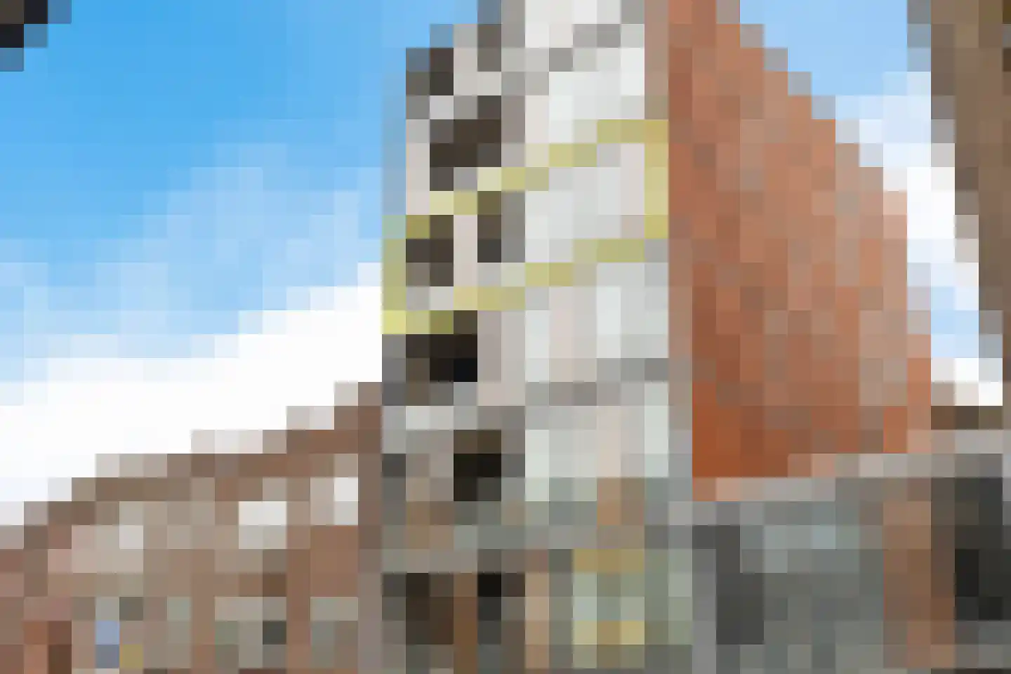 W.A. Scholtenstraat 8 11 Groningen thumbnail 7