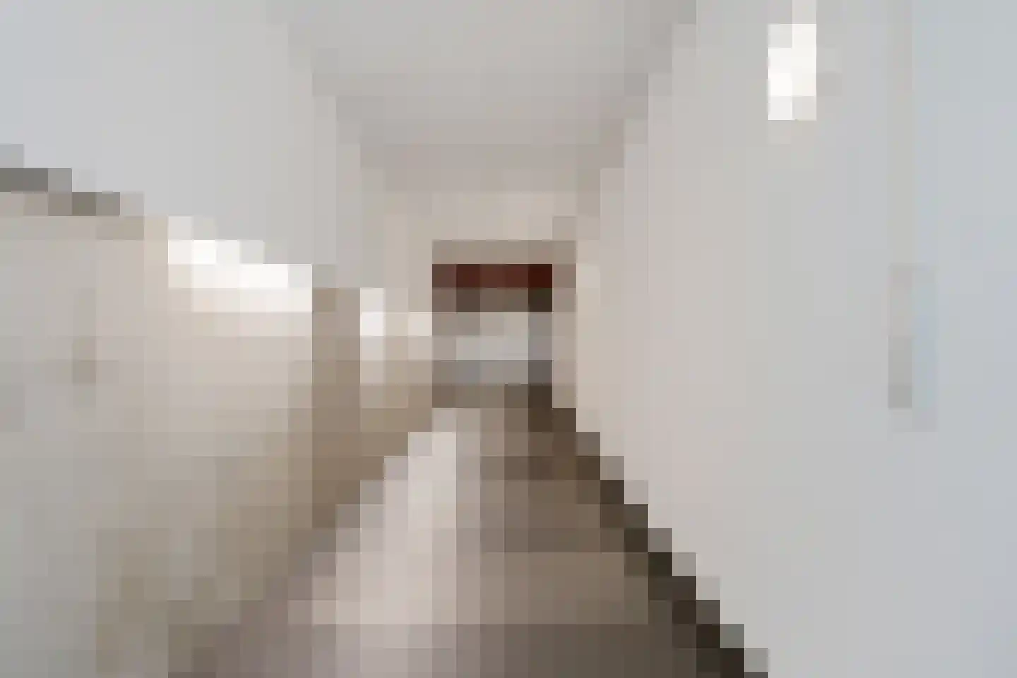 W.A. Scholtenstraat 8 12 Groningen thumbnail 7