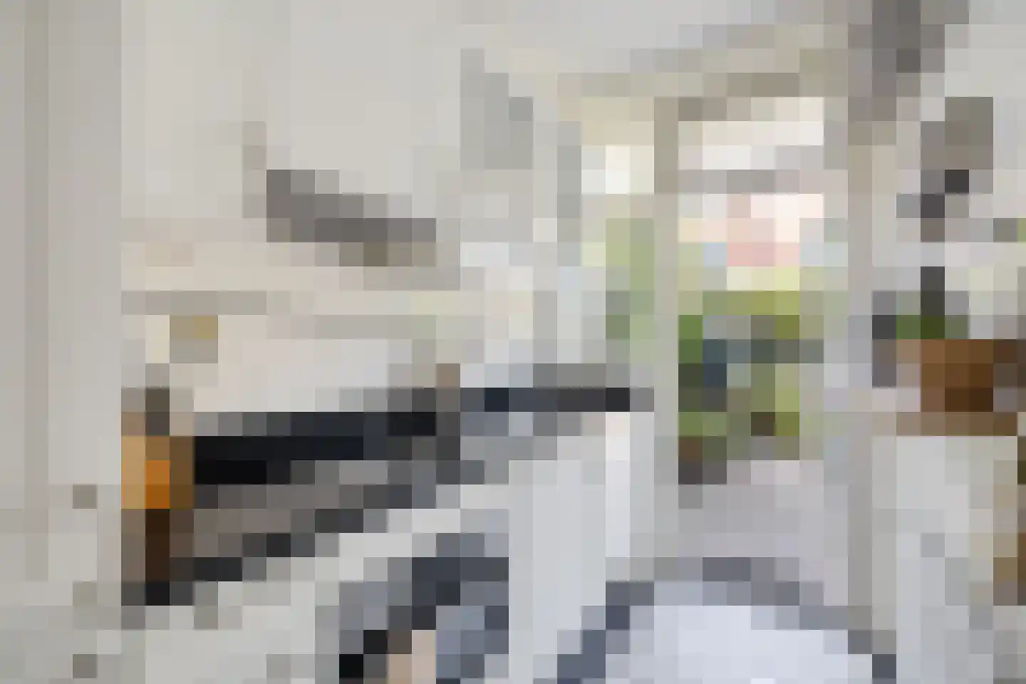 W.A. Vultostraat 103 Utrecht thumbnail 12